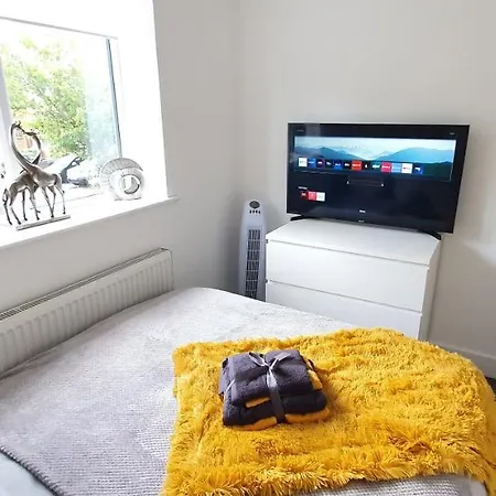 Trendy, Modern Garden Posh Peckham * London