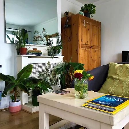Homestay Burgess Park Homes - Near Central London