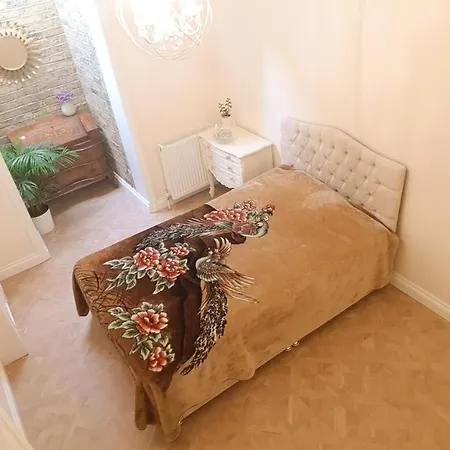 Spacious Refurbished Flat With A Garden Near Tube, Train, Thames And The Center Londra