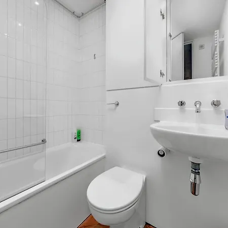 Interior-designer With 2 Terraces London