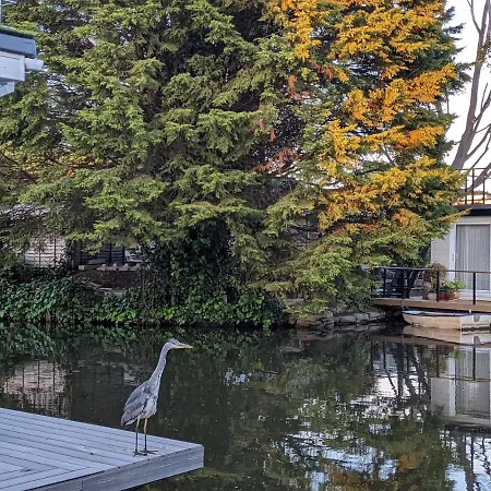 Botel Tulana Taggs - Floating On Idyllic Island Hampton Hill