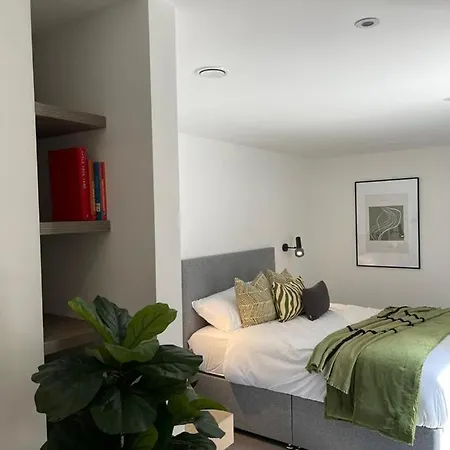 Brand New 3-bedroom In