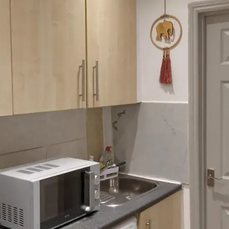 Lovely 1 Bedroom With Garden London
