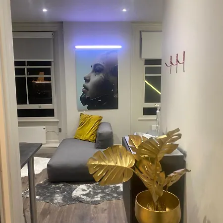 Apartment New Luxury Cyberpunk 1bed Studio Serviced Notting Hill Free Wifi & Netflix Location Perfect For Solo & Coupled Guests London