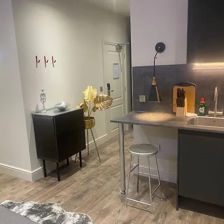 Apartment New Luxury Cyberpunk 1bed Studio Serviced Notting Hill Free Wifi & Netflix Location Perfect For Solo & Coupled Guests London