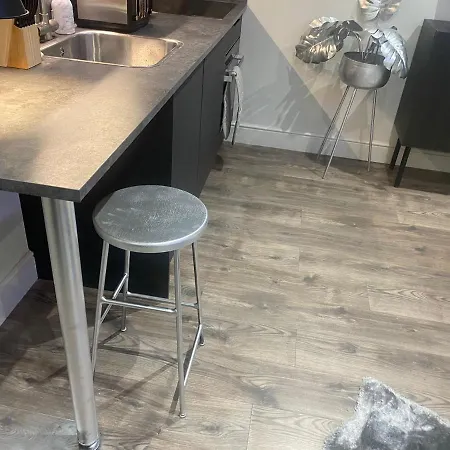 New Luxury Cyberpunk 1bed Studio Serviced Notting Hill Free Wifi & Netflix Location Perfect For Solo & Coupled Guests Apartment *