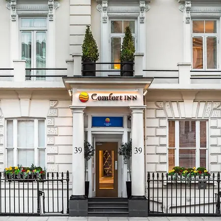 Comfort - Westminster