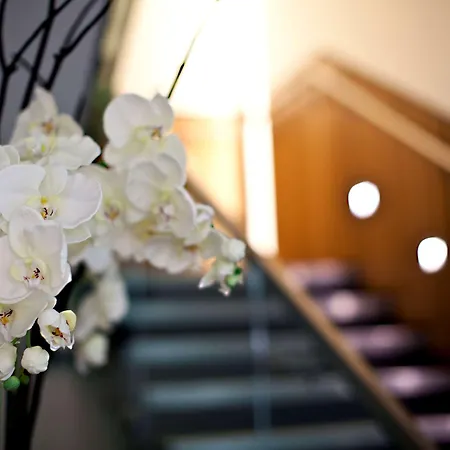 Hilton London Heathrow Airport Terminal 5 Hotel