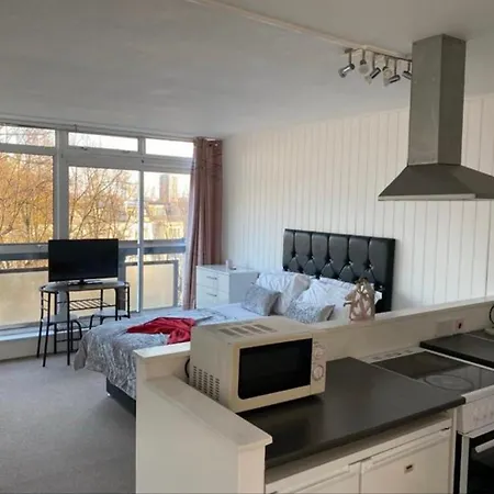 Apartment Amazing Studio Flat London