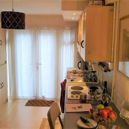 1 Dbl Bed Ground Floor Modern Oriental Flat Greenwich Park London