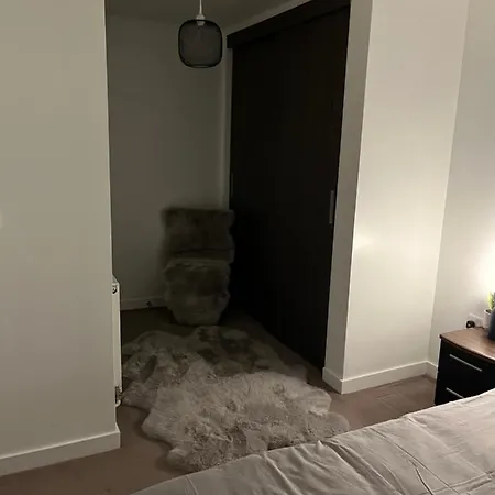 Luxurious Dlr Apartment