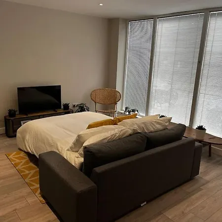 Apartment Lovely 1-bedroom In N1