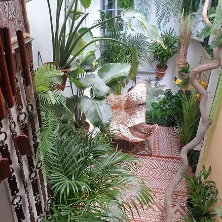 Homestay Park Haven