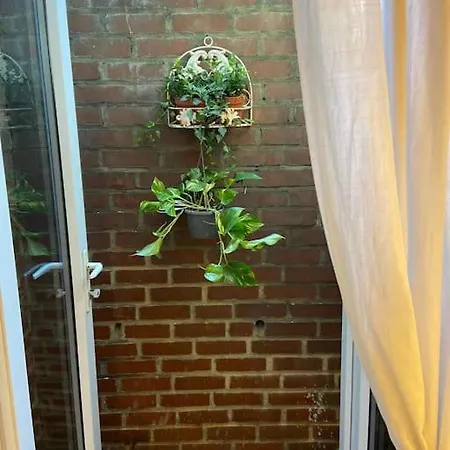 Ivy House-period Garden Flat Chelsea/fulham London
