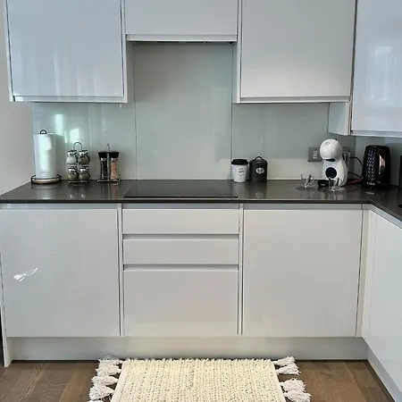 1 Spacious Luxury Bedroom Flat On Oxford St, Next To Selfridges Apartment