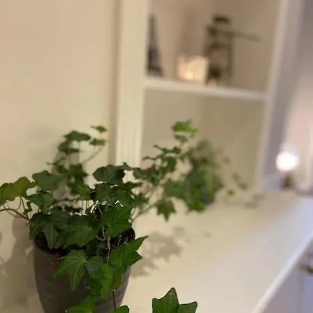 Ivy House-period Garden Flat Chelsea/fulham * London