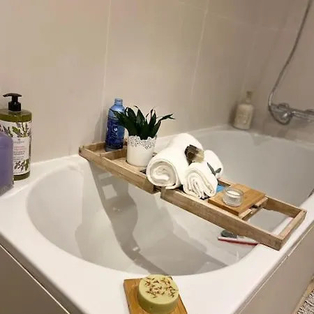Apartment Ivy House-period Garden Flat Chelsea/fulham London
