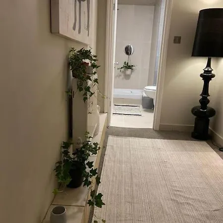 Apartment Ivy House-period Garden Flat Chelsea/fulham