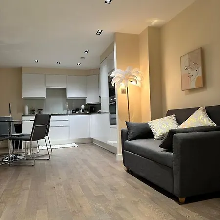 1 Spacious Luxury Bedroom Flat On Oxford St, Next To Selfridges Apartment
