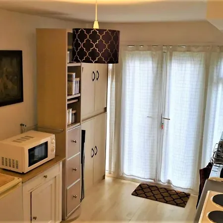 1 Dbl Bed Ground Floor Modern Oriental Flat Greenwich Park Apartment London