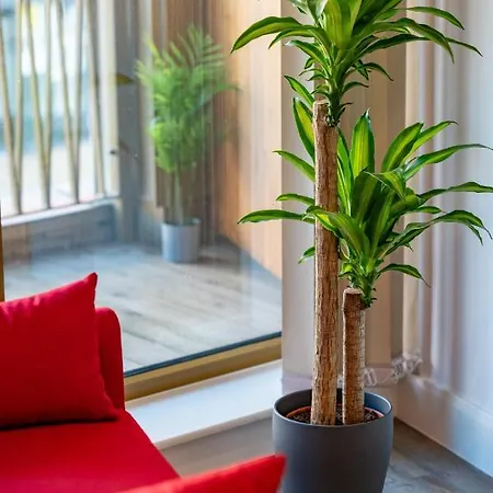 Luxury 2 Bedrooms - 2 Bathrooms - F5