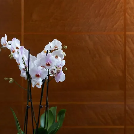 The Halkin Hotel Londres