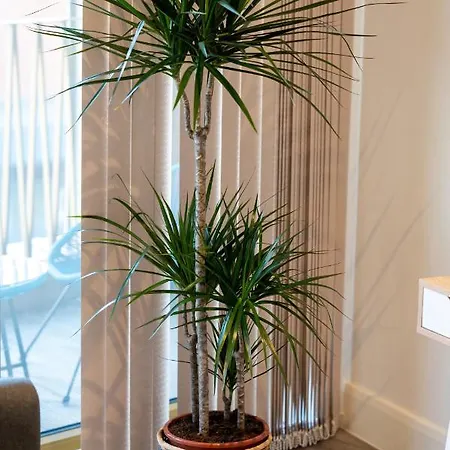 Lux 2 Bedrooms - 2 Bathrooms - F7 Apartment London