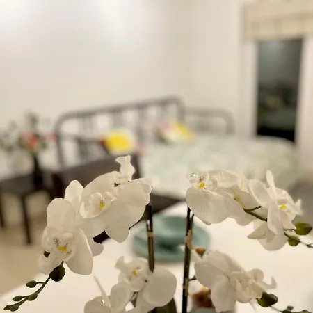 Spacious Cozy Toothing House Merton (Greater London)