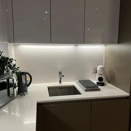 Beautiful In Wembley Apartment London