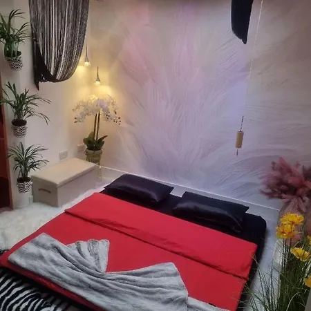 Homestay Park Haven *