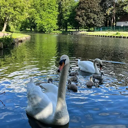 Beddington Park East Guest house