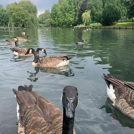 Beddington Park East * Wallington