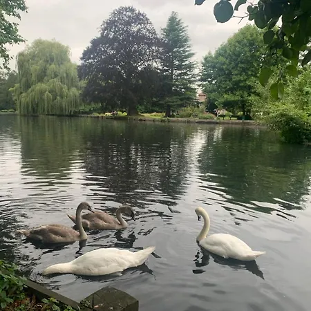 Beddington Park East