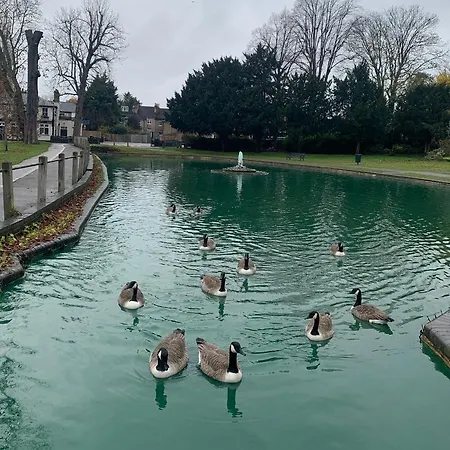 Guest house Beddington Park East Wallington