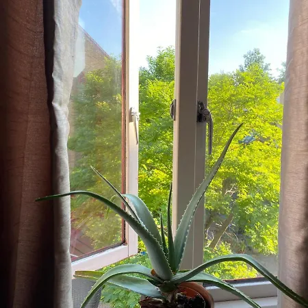 ホームステイ Cozy Private For Single Use *