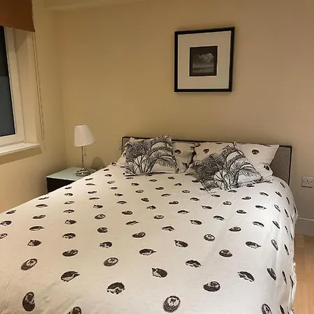 Modern In By River Thames Apartment London
