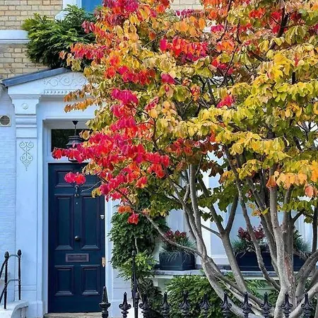 Chelsea Posh
