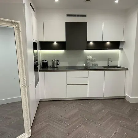 Apartment Modern 2 Bedroom Flat Near King's Cross. London