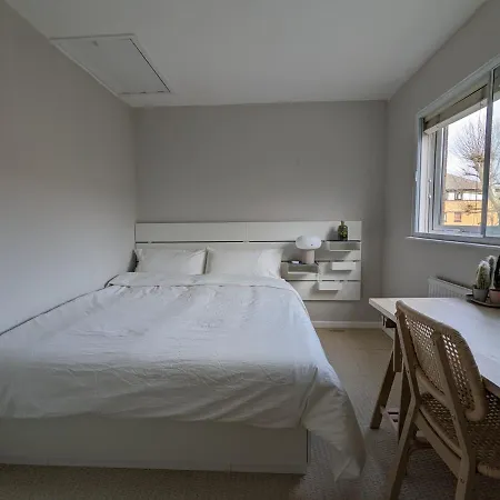 Cosy House With A Garden London