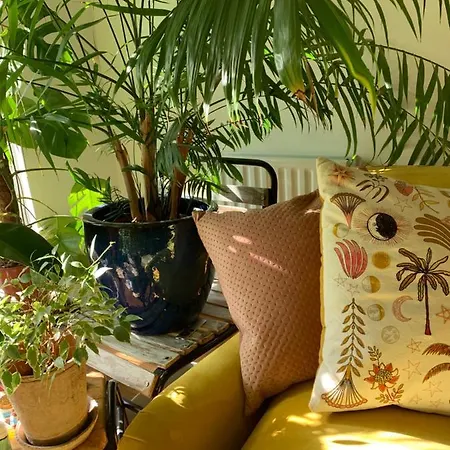 Apartment Artist In Islington, Shoreditch, Old St