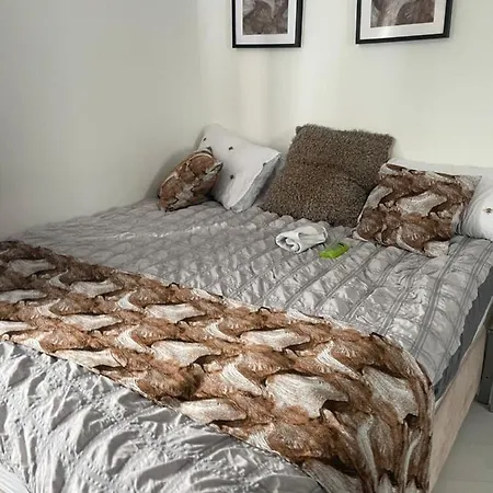 Apartment Spacious One Bedroom Ft In King's Cross