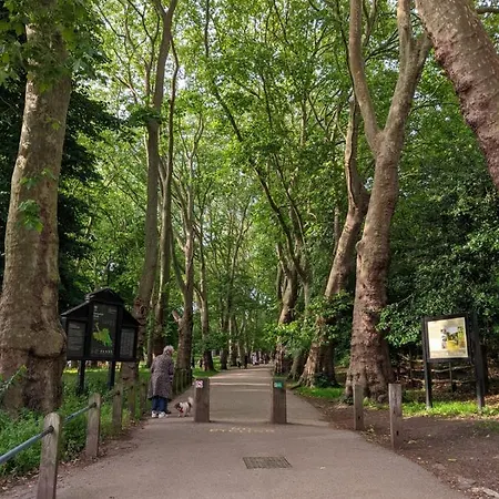 Hampstead 19th Century Village Londyn