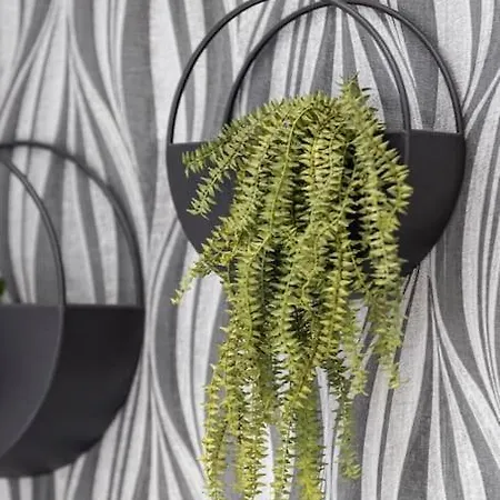 Apartment Cozy Nook: Stylish Studio, Walk To Park & Shop *