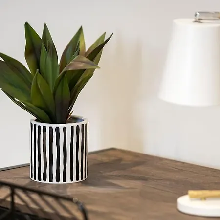 Cozy Nook: Stylish Studio, Walk To Park & Shop Apartment *