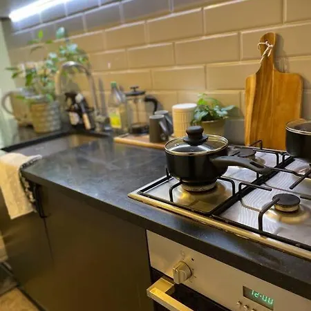 Apartment Shoreditch Cosy Flat, Next To Van Gogh Exhibition