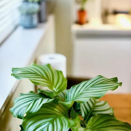 Zen Life With Urban Views - E8 Chic