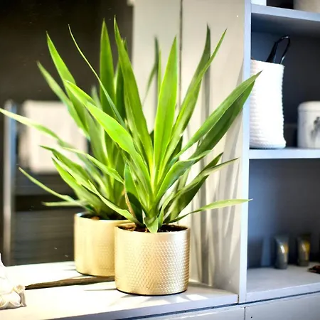 Zen Life With Urban Views - E8 Chic Apartment London