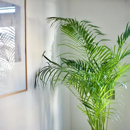 Apartment Zen Life With Urban Views - E8 Chic *