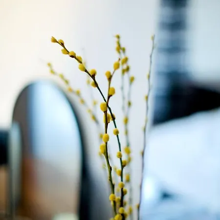 Apartment Zen Life With Urban Views - E8 Chic London