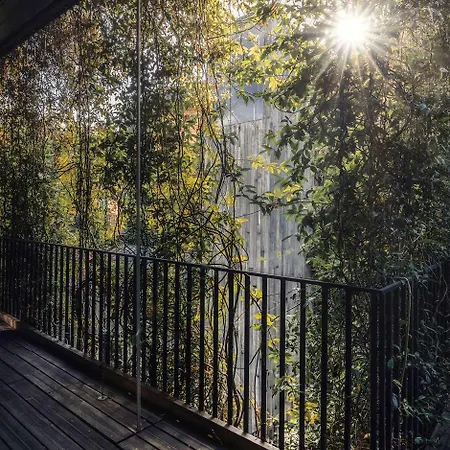 The Mandrake (adults Only) Hotel London